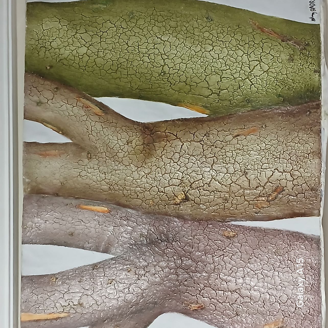 تابلو نقاشی 